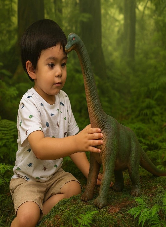 DTR Creation Brachiosaurus Dinosaur Toy ? 36 cm Realistic Long Neck Dino Figure, Green & Grey Color, Soft Rubber Prehistoric Animal Model for Kids - Image 5